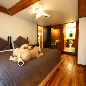 Second bedroom with king size bed in Cottage