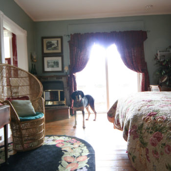 Courtyard room with king size bed and private entrance