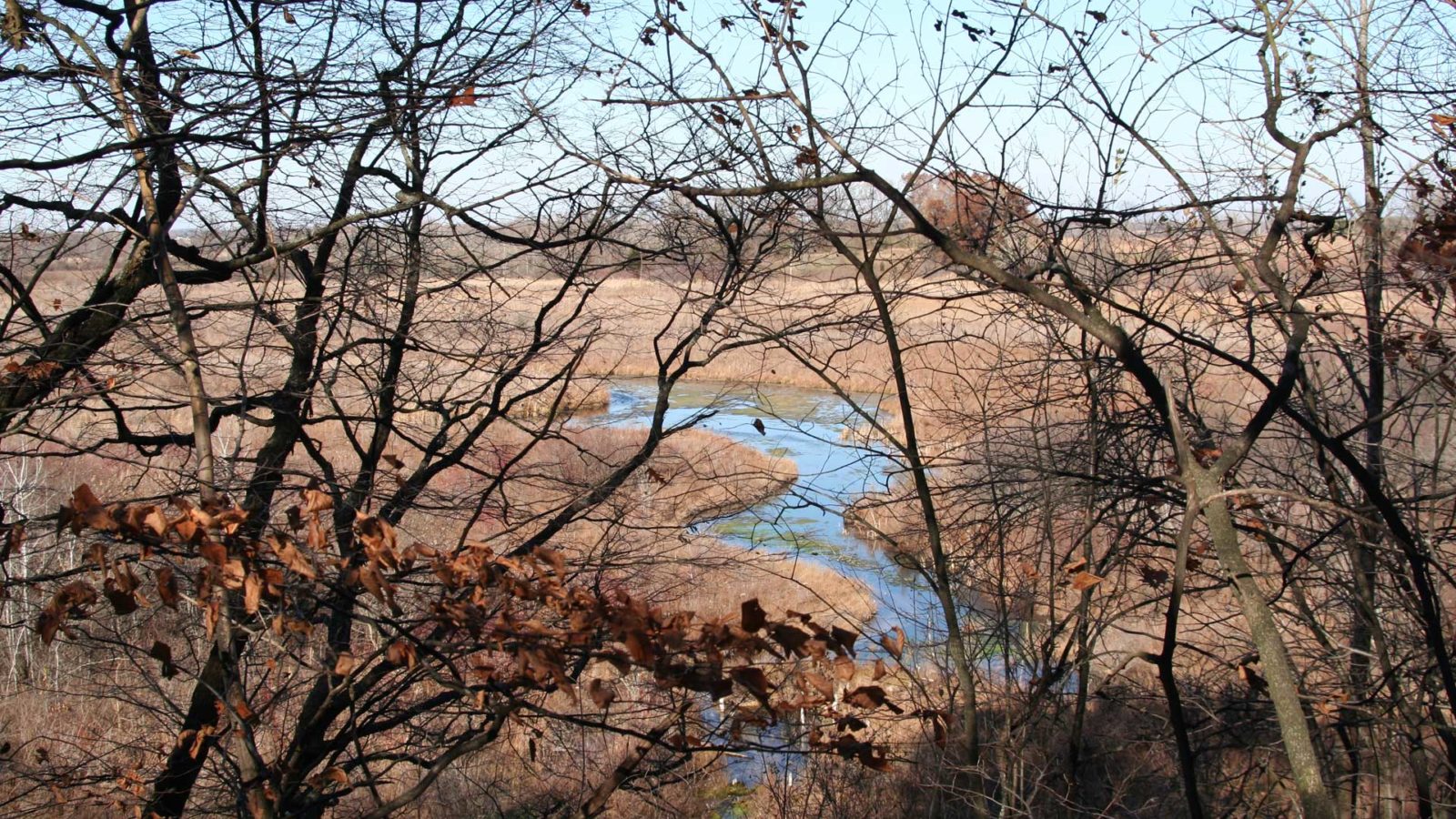 Kettle Moraine State Forest