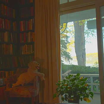 library overlooking Lake Geneva at Eleven Gables Inn
